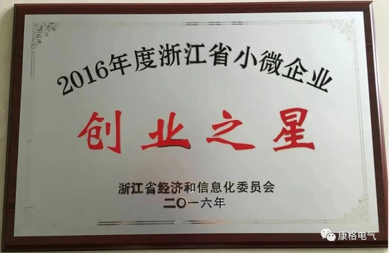 Entrepreneurship Star Award